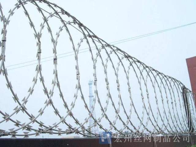 刀片刺網(wǎng)