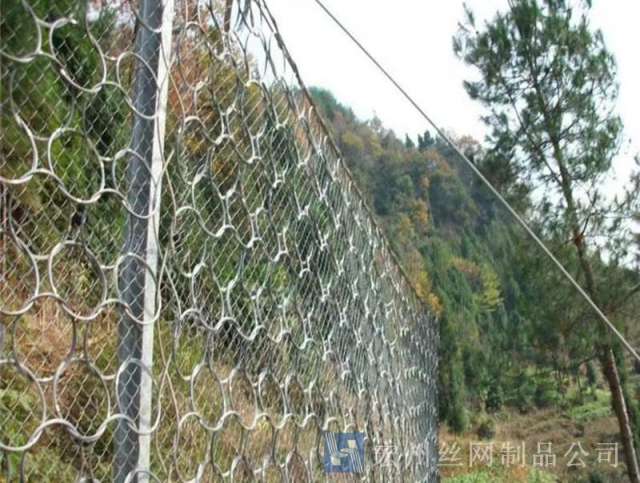 sns被動(dòng)防護(hù)網(wǎng)--03